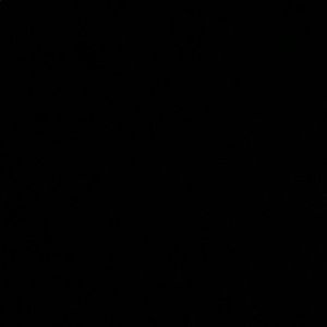 Meet your Posher, Lili